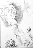Charcoal drawing