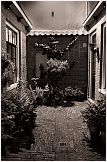 Back alley of Lange Annastraat, Haarlem